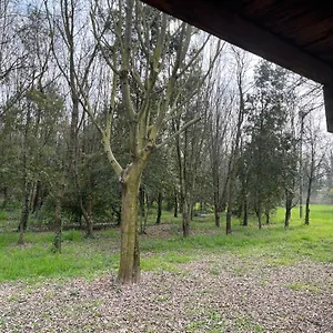  Apartmán Woods Itálie